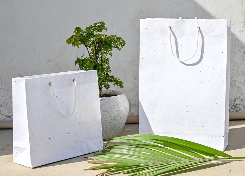 Plantable Seeds